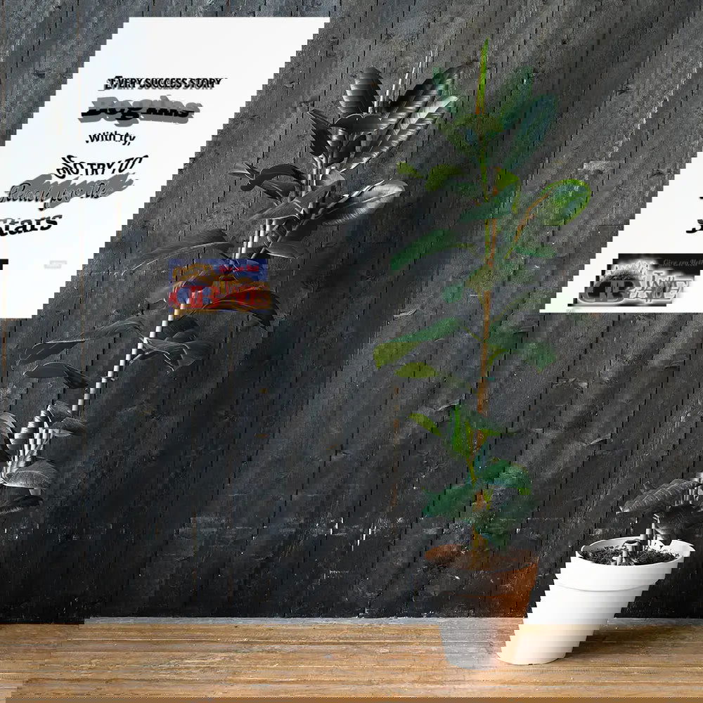 PosterPoster{https://embermembers.d-blaze-ventura.com/checkout/Poster}
