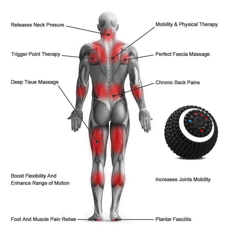 Electric Massage Ball 4-Speed Vibrating Massage BallElectric Massage Ball 4-Speed Vibrating Massage Ball{https://embermembers.d-blaze-ventura.com/checkout/Electric Massage Ball 4-Speed Vibrating Massage Ball}
