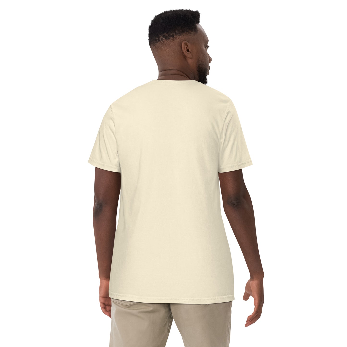 Rising Dragon D-Blaze Ventura Unisex heavyweight Graphic T - Shine On with d-Blaze