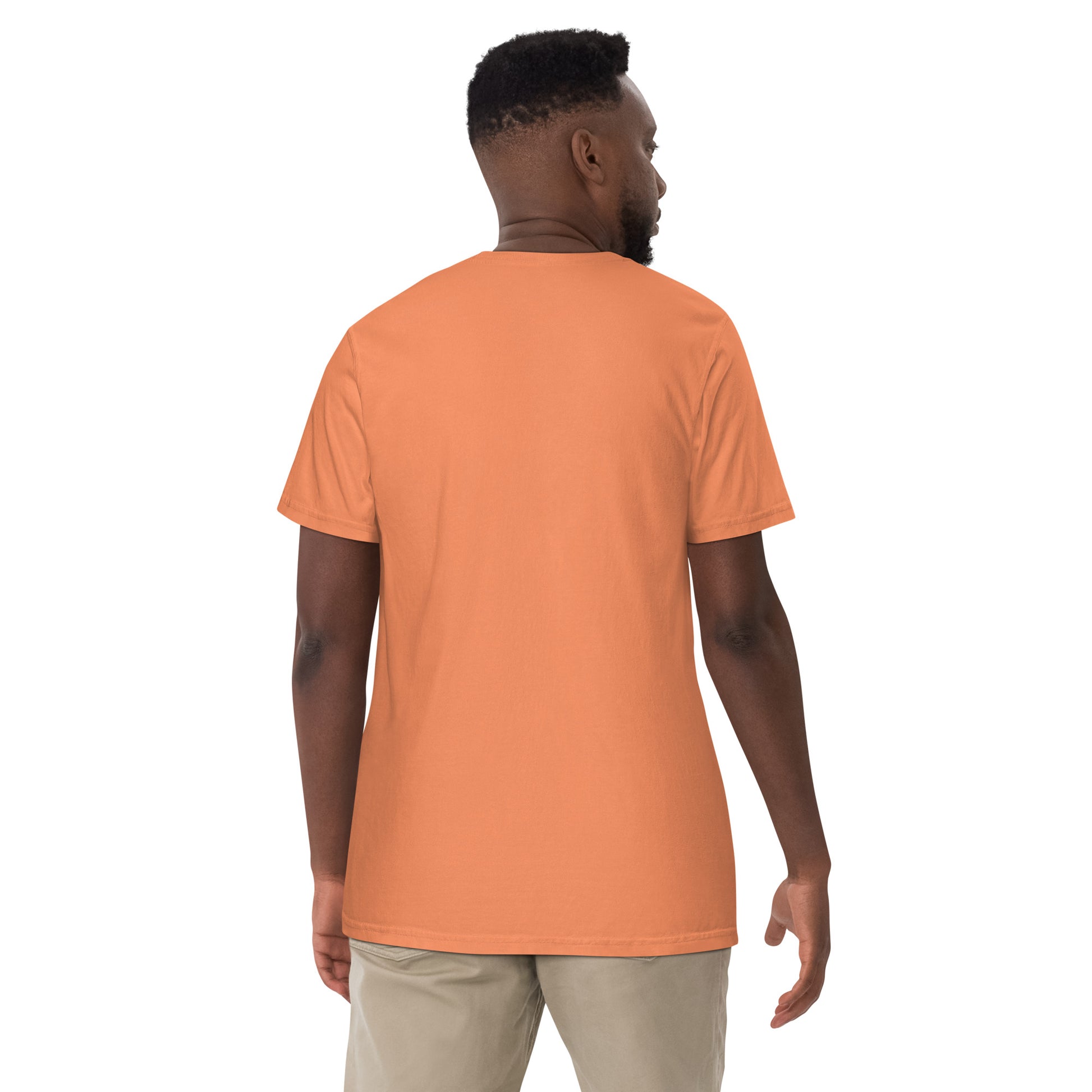 Rising Dragon D-Blaze Ventura Unisex heavyweight Graphic T - Shine On with d-Blaze